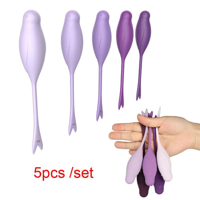 5pc/set Safe Silicone Smart Ball Kegel Ball Ben Wa Ball Vagina Tighten Exercise Machine Vibrators Vagina Ball Sex Toys for Women